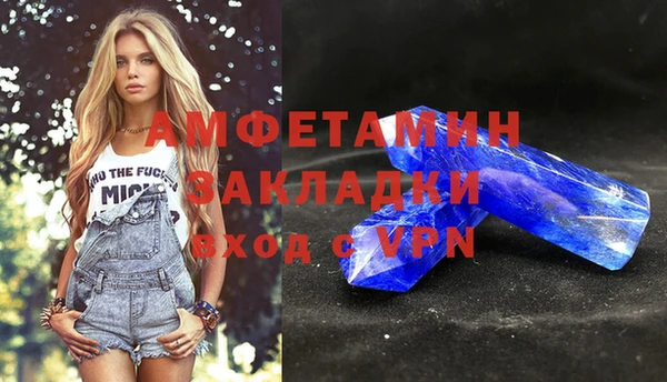 индика Абаза