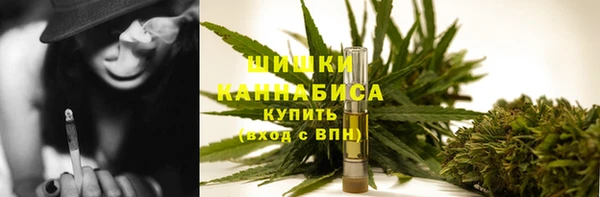 индика Абаза
