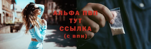 индика Абаза