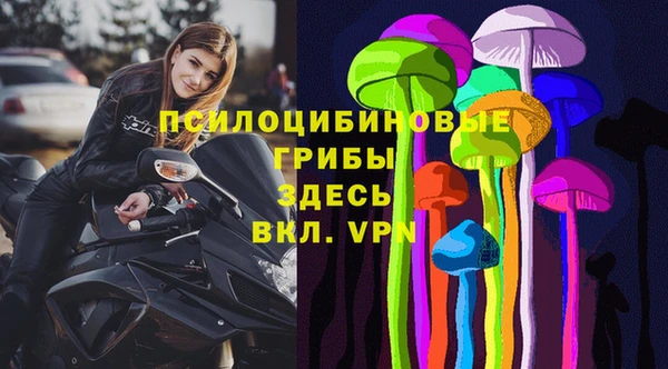 индика Абаза