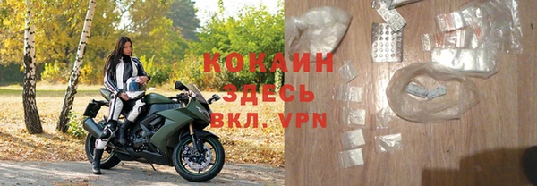 шишки Протвино