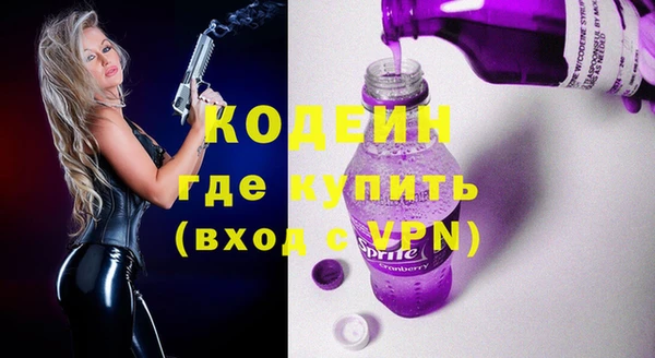 индика Абаза