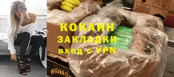 индика Абаза