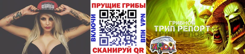 Галлюциногенные грибы прущие грибы  закладка  Нижняя Тура 